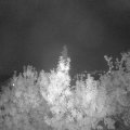 Webcam_20190920-203000