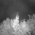 Webcam_20190921-203000