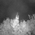 Webcam_20190922-050000