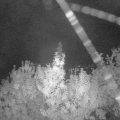 Webcam_20190924-053000