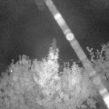 Webcam_20190924-210000