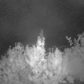 Webcam_20190926-060000