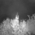 Webcam_20190926-210000