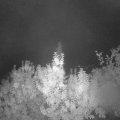 Webcam_20190928-063000