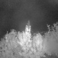 Webcam_20190929-203000