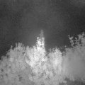 Webcam_20190930-060000