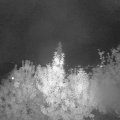 Webcam_20190930-200000