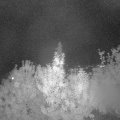 Webcam_20190930-210000