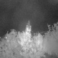 Webcam_20190930-213000