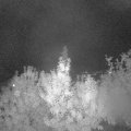 Webcam_20191001-200000