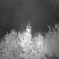 Webcam_20191001-203000