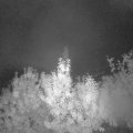 Webcam_20191002-060000