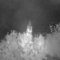 Webcam_20191003-060000