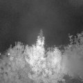 Webcam_20191003-200000