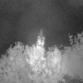 Webcam_20191004-060000