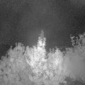 Webcam_20191004-063000
