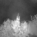 Webcam_20191005-050000
