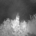 Webcam_20191005-053000