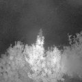 Webcam_20191005-063000