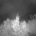 Webcam_20191008-050000