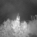 Webcam_20191008-053000