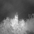 Webcam_20191008-063000