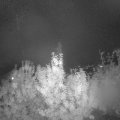 Webcam_20191008-200000