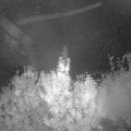 Webcam_20191009-060000