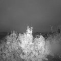 Webcam_20191009-070000