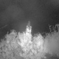 Webcam_20191010-053000