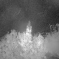Webcam_20191012-050000