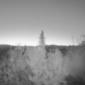 Webcam_20191012-070000