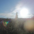 Webcam_20191012-093000
