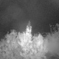 Webcam_20191013-050000