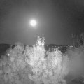 Webcam_20191014-213000