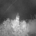 Webcam_20191015-193000