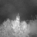 Webcam_20191015-200000