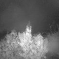 Webcam_20191016-050000
