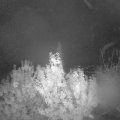 Webcam_20191016-053000