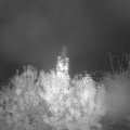Webcam_20191016-060000