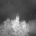 Webcam_20191016-063000