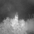 Webcam_20191017-050000