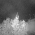 Webcam_20191017-053000