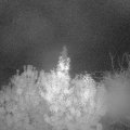 Webcam_20191017-060000