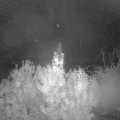 Webcam_20191019-050000