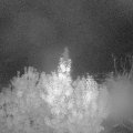 Webcam_20191020-050000