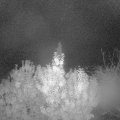 Webcam_20191020-070000