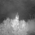 Webcam_20191021-050000