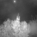 Webcam_20191023-050000