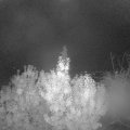 Webcam_20191023-053000